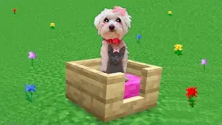 MI GATO Y MI PERRO VIVIEN UNA VIDA EN MINECRAFT DURANTE 24 HORAS !!