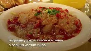 Какие новые виды пищевых продуктов появятся в будущем?