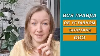 Вся правда об уставном капитале ООО [2024]