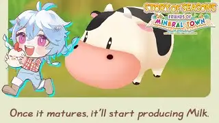 【STORY OF SEASONS: FRIENDS OF MINERAL TOWN】I want a cow [Spoiler Alert]