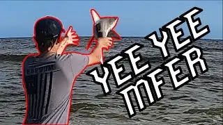 Redneck Shark Fishing... (plus yeehawness)