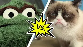 Oscar the Grouch vs. Grumpy Cat | Mashable