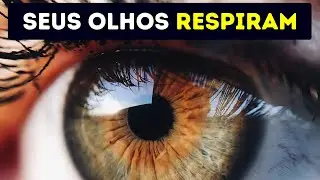 70 Curiosidades Curtas Sobre O Corpo Humano Para Fazer Você Se Sentir Especial