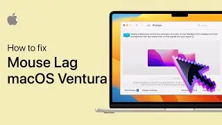 How To Fix Mouse Lag on Mac OS Ventura