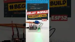 ESP32 Relay Module Project