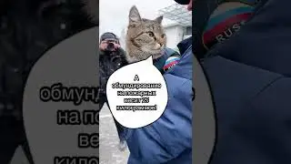 Кот-пожарный Семен ведет репортаж с "Кубка огня" в Тюменской области
