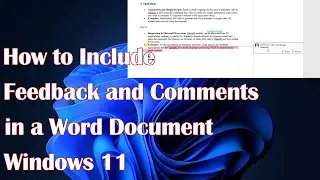 How to Include Feedback and Comments in a Word Document
