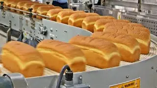 How Millions Of Bread are Made In A Huge Factory 🍞🏭