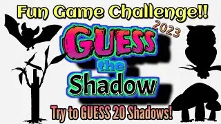 GUESS THE SHADOW | RANDOM Order Game CHALLENGE! 2023