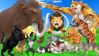 Giant Lion Fight Tiger Wolf Vs Sabertooth Tiger Attack Lion Cub Saved By Woolly Mammoth Epic Battle