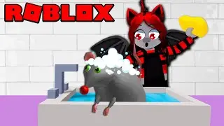 RAT WASHING TYCOON! | Roblox