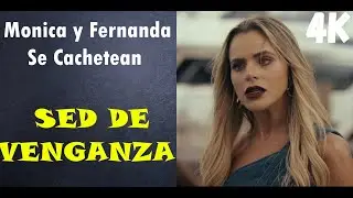 Monica y Fernanda Se Cachetean | Sed De Venganza | 4K