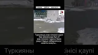 Түркияның жер сілкінісін Ит сезген секілді ме ?