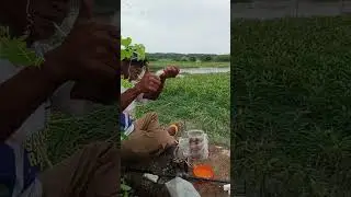 Berburu ikanlais