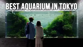 Tokyo's Incredible Designer Aquarium