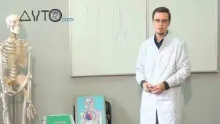 Первая помощь при ДТП#3. Переломы конечностей.