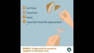 Mnemonic Device: Dumbels | Merck Manual Professional Version