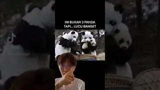 ENAK JADI ORANG KAYA.. TINGGAL MINTA ORANG TUA!!?