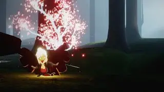Sky: Children of the Light / Задание Полюбуйтесь деревцем в Тайном Лесу / я вам покажу ;)
