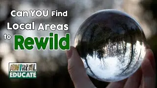 Can you find areas near you to rewild? 👉 Rewilding Britain