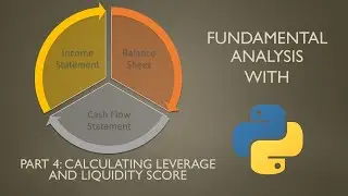 Fundamental analysis of liquidity and leverage with Python