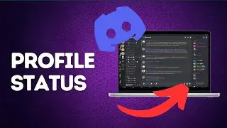 How to change profile status on Discord?