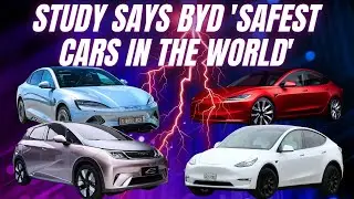 Study says BYD Seal & Dolphin are safer than Tesla Model Y & Model 3