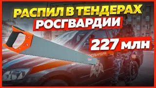 Тендерный распил 🪚 в Росгвардии. Коррупция в тендерах и госзакупках.