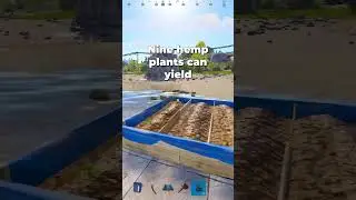 RUST Farming is UNDERRATED! 🌾