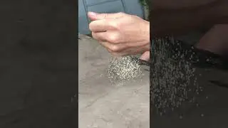 Can you do it