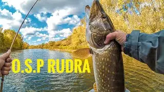 Лучший воблер для осенней щуки! O.S.P Rudra 130sp лучшая рыбалка на щуку 2019.