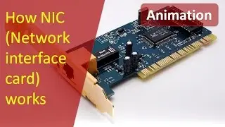 Animation of working of NIC(Network Interface Card) | How NIC works