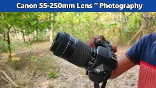 Canon 200d Mark ii Photography | 55-250mm Zoom Lens | Canon 200d Mark ii