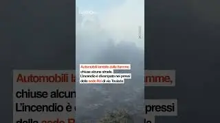 Roma, incendio Monte Mario: il vento alimenta le fiamme e laria diventa irrespirabile