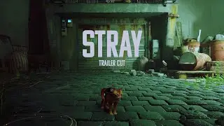 trailer cut | STRAY