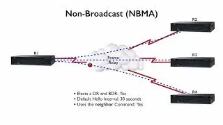 182 OSPF Network Types