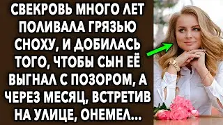 Свекровь много лет поливала грязью сноху, и добилась того, чтобы сын ее выставил. А через месяц...