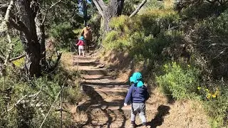 2020 Июль. ВЛОГ Point Lobos