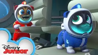 Puppies Go to the Moon! 🌙 | Puppy Dog Pals | Disney Junior