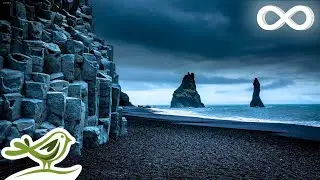 The Shore of Dreams: Relaxing Sleep Music for Deep Meditation & Relaxation