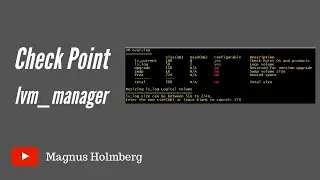 Check Point how to add additional logspace | lvm_manager | sk94671