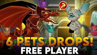 =AQW= NEW PETS! RARE? (ALL DROPS)