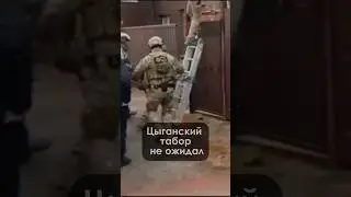 ФСБ раскурочили целый цыганский табор. Барона взяли.