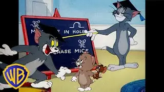 Tom y Jerry en Español 🇪🇸 | ¡Lecciones aprendidas! 📚🎓 | Vuelta al cole | WB Kids España​