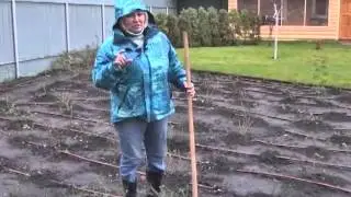 Дачные советы 08.11.2012