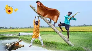 Exclusive Trending Comedy Video 2024 New Amazing Funny Video Episode  304 By Bidik Fun Tv