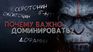 Социальный статус и гормоны / Почему ты должен Доминировать?