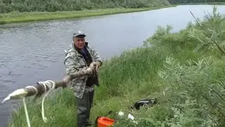 С этой СНАСТЬЮ ты всегда будешь С УЛОВОМ / Дедовский способ ловли рыбы / Как поймать много рыбы