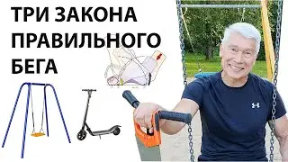 Три Закона Правильного бега: 