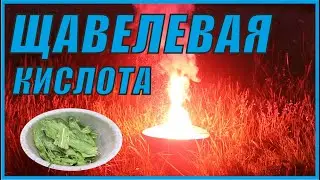 Щавелевая кислота- коварная НЕ пищевая добавка.